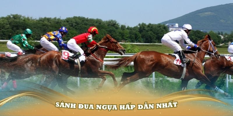 Sảnh đua ngựa hấp dẫn nhất và thu hút nhiều người tham gia tại Thể thao Go99
