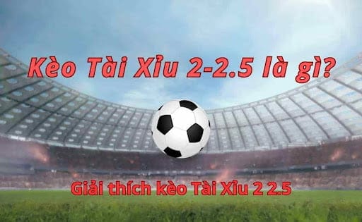 Làm sao phân định thắng thua khi chơi kèo tài xỉu 2-2.5