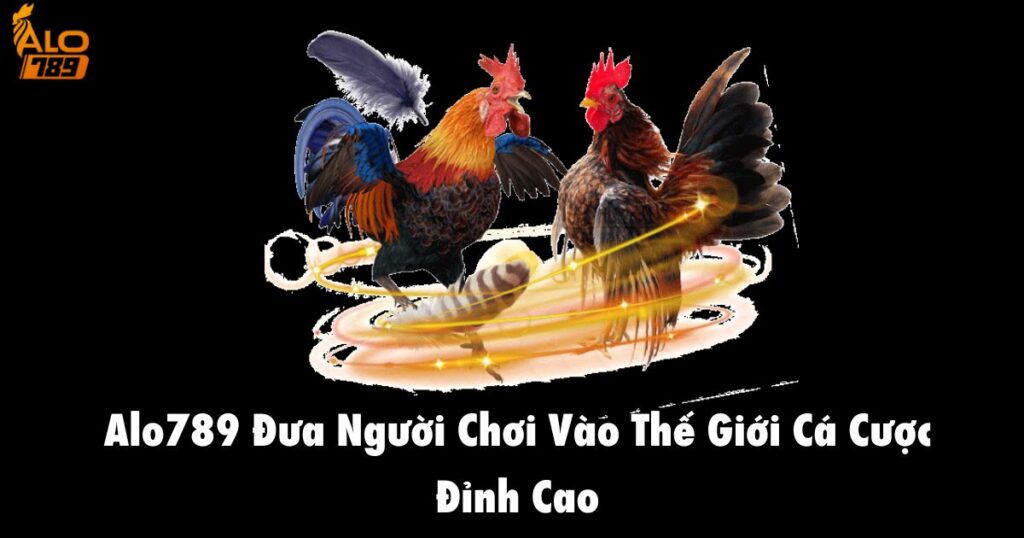 Alo789 đưa người chơi vào thế giới cá cược đỉnh cao