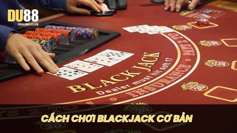 Mỗi người chơi không đấu với nhau mà chỉ đấu với nhà cái