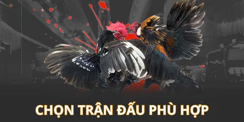 Hình thức cược đa dạng tại 88CLB