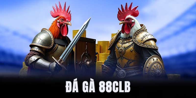 Nhìn chung về đá gà 88CLB