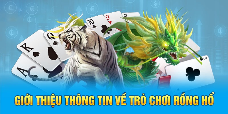 Rồng Hổ 88clb - Siêu phẩm đặc sắc không thể bỏ lỡ