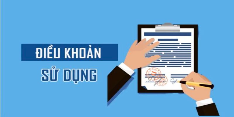 Tìm hiểu kỹ về các điều khoản