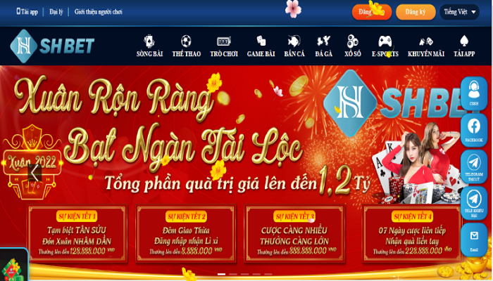 Các dịch vụ chuyên nghiệp luôn sẵn sàng phục vụ người chơi
