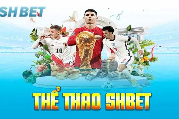 Danh mục giải trí thể thao SHBET uy tín