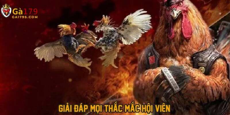 Đăng ký GA179 cực kỳ nhanh chóng
