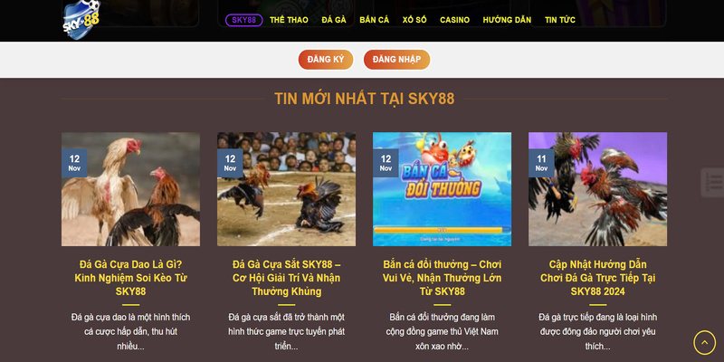 Giải đáp thắc mắc khi cài đặt Sky 88 năm 2025