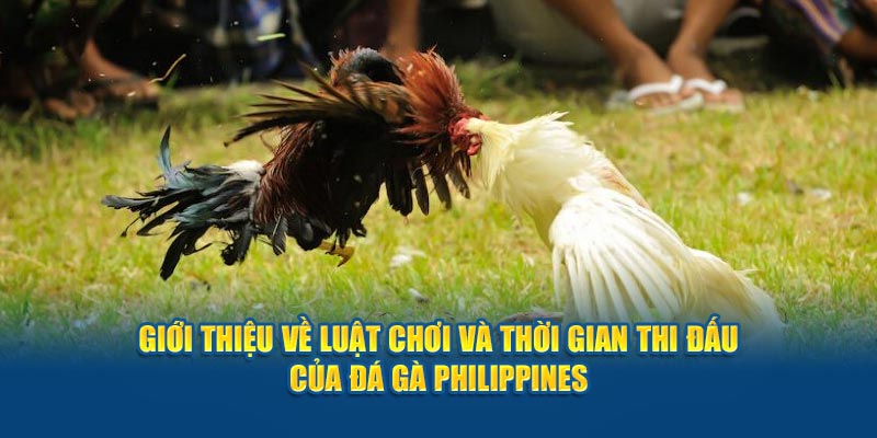 Luật chơi khá đơn giản
