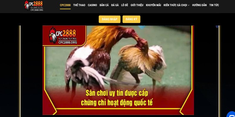 Tích điểm đổi phần thưởng tại CPC 2888