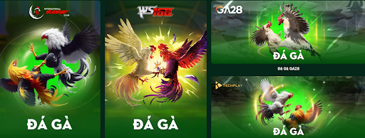 Kinh nghiệm chơi đá gà trực tuyến F8bet