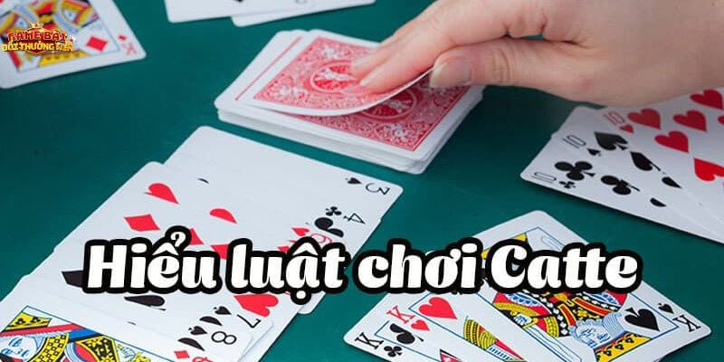Hướng dẫn chơi bài Catte cơ bản cho bet thủ mới