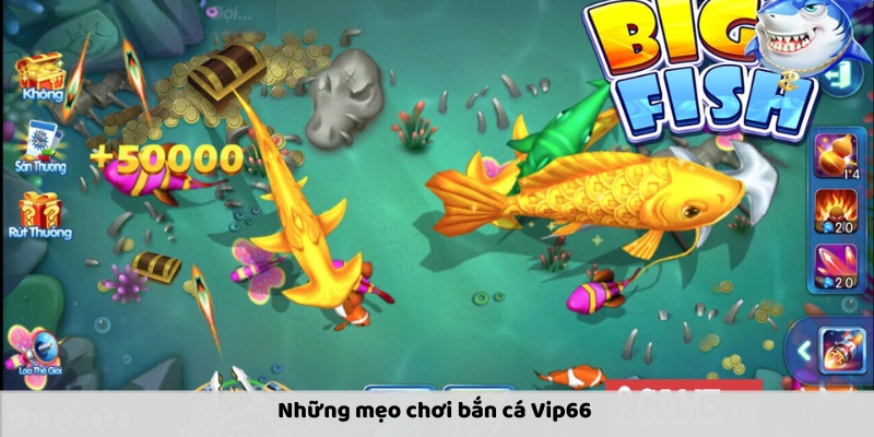 Kinh nghiệm chơi bắn cá