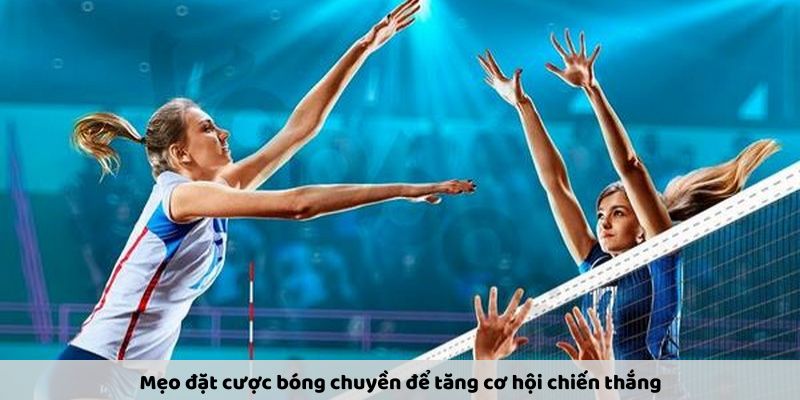 Đặt Cược Bóng Chuyền – Hướng Dẫn Mẹo Cược Bộ Môn Hấp Dẫn