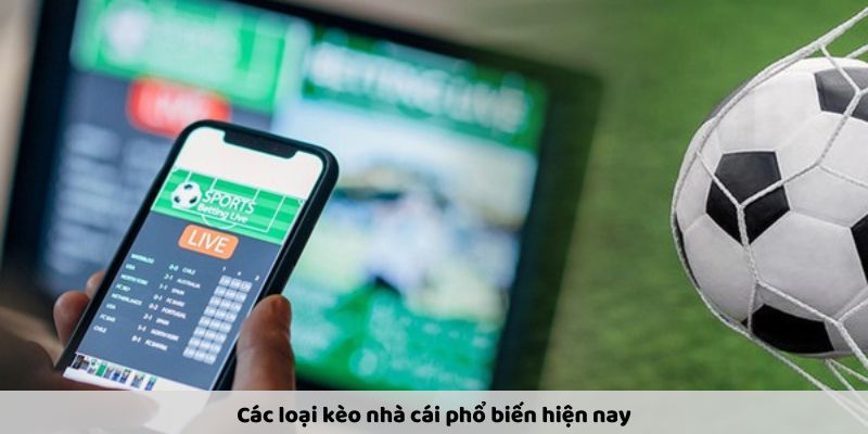 Các loại kèo phổ biến