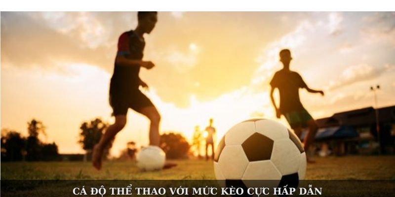 Cá độ thể thao với mức kèo cực hấp dẫn