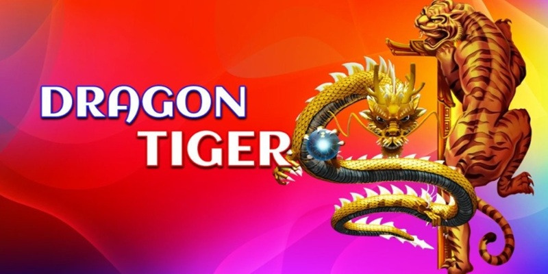 Tìm hiểu quy luật cơ bản