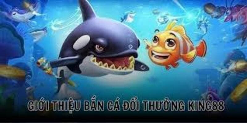 Tính năng bắn cá king88 - giải trí đỉnh cao