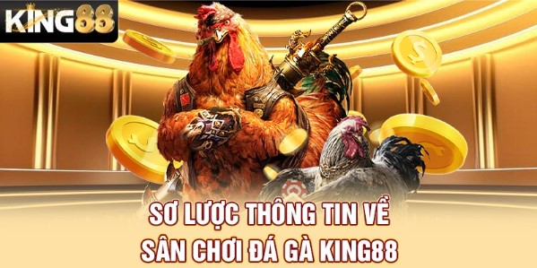 Sơ lược thông tin về sân chơi đá gà King88