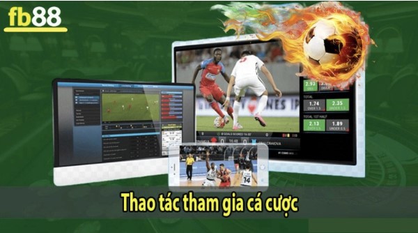 Thao tác tham gia cá cược