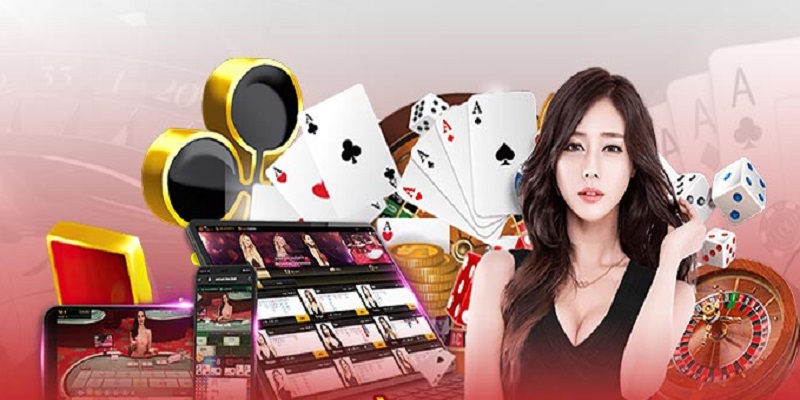 Giới thiệu vài thông tin cơ bản về nhà cái SHBET trực tuyến