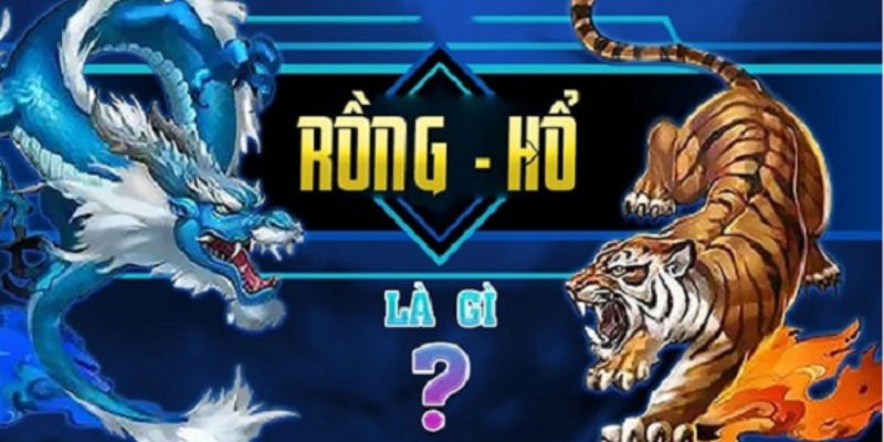 Một số thông tin về rồng hổ OLE777