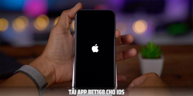 Hướng dẫn các bước tải app cho hệ điều hành iOS chỉ với vài bước