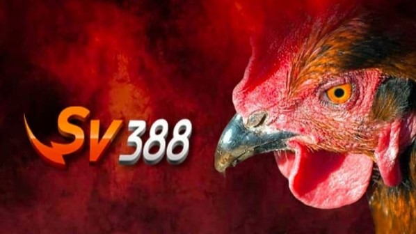 Các lỗi xảy ra đăng ký SV388 không thành công