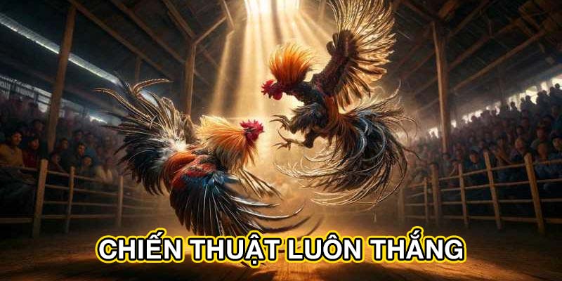 Chiến thuật luôn thắng