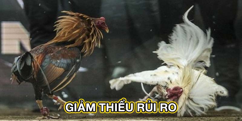Giảm thiểu rủi ro