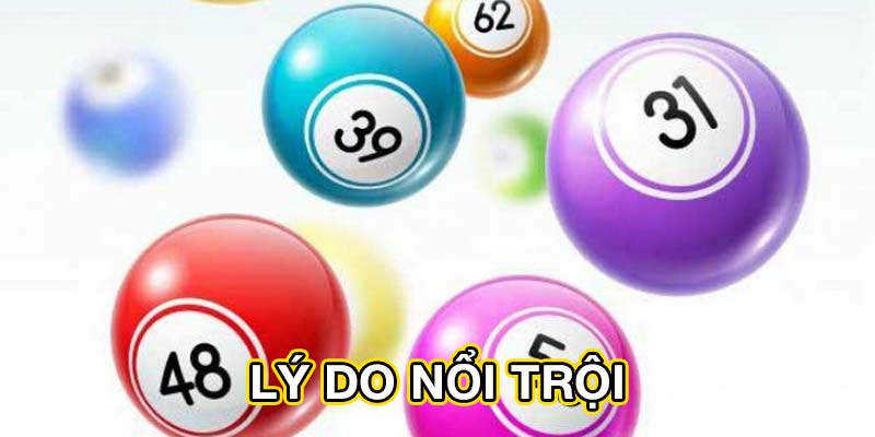 Lý do nổi trội