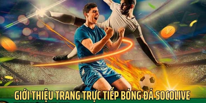 Giới thiệu đôi nét về trang trực tiếp bóng đá socolive