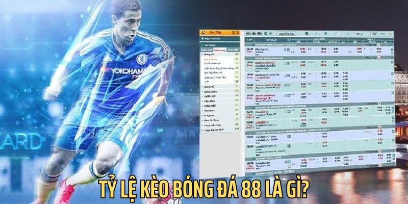 Tỷ lệ bóng đá 88 quy định chi tiết về mức tiền thưởng cược thủ nhận được