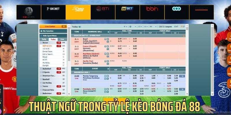 Nắm rõ các thuật ngữ được hệ thống sử dụng